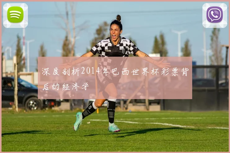深度剖析2014年巴西世界杯彩票背后的经济学
