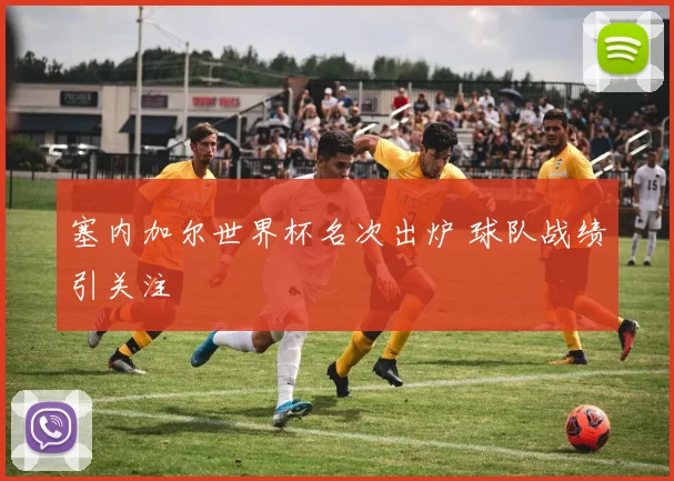 塞内加尔世界杯名次出炉 球队战绩引关注