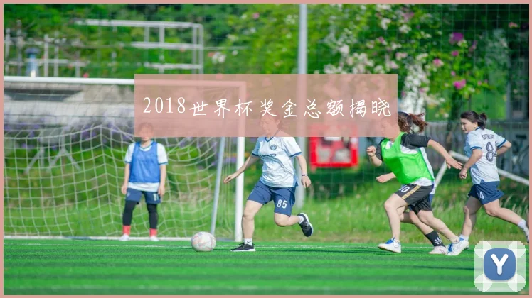 2018世界杯奖金总额揭晓