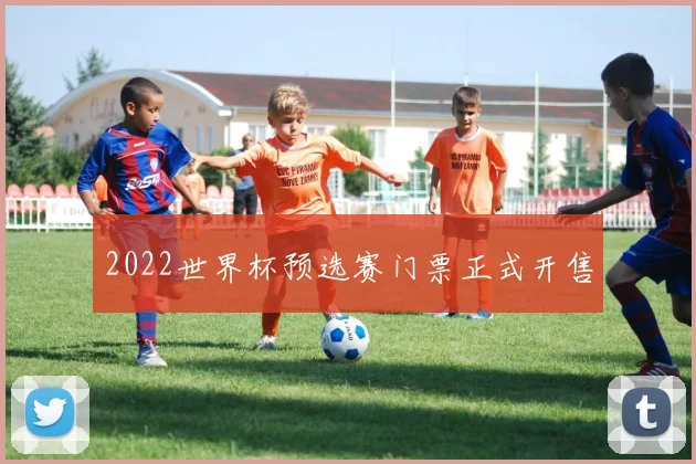 2022世界杯预选赛门票正式开售