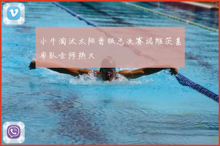 小牛淘汰太阳晋级总决赛诺维茨基率队会师热火