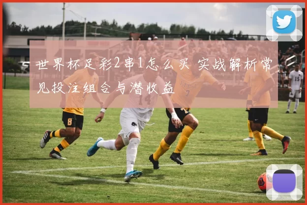 世界杯足彩2串1怎么买 实战解析常见投注组合与潜收益