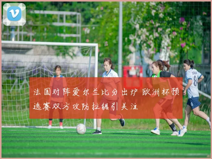 法国对阵爱尔兰比分出炉 欧洲杯预选赛双方攻防拉锯引关注